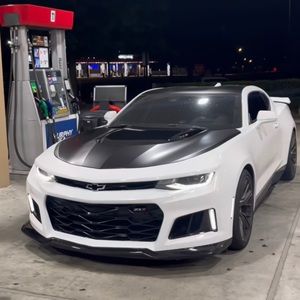 Meet your Posher, Leo